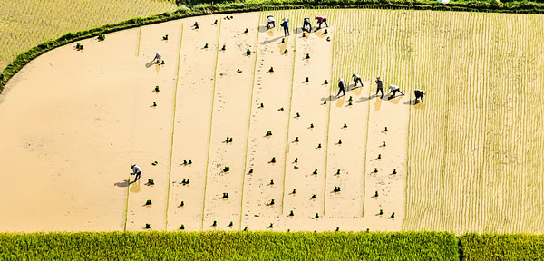 perierga.gr - Η εκπληκτική ομορφιά της κοιλάδας Bac Son!