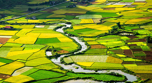 perierga.gr - Η εκπληκτική ομορφιά της κοιλάδας Bac Son!