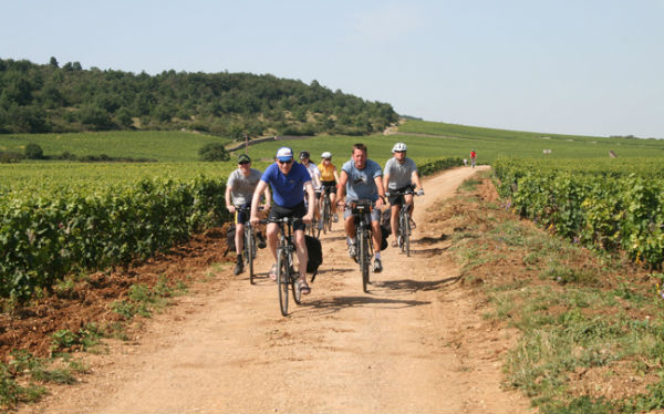 Perierga.gr - Πανέμορφες διαδρομές με ποδήλατο στην Ευρώπη