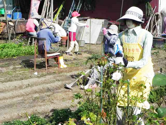 perierga.gr - Η εξελιγμένη μορφή των σκιάχτρων στα χωράφια!
