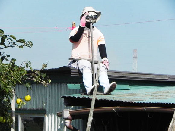 perierga.gr - Η εξελιγμένη μορφή των σκιάχτρων στα χωράφια!