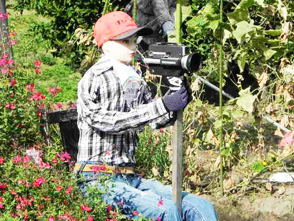 perierga.gr - Η εξελιγμένη μορφή των σκιάχτρων στα χωράφια!