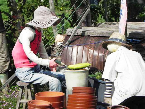 perierga.gr - Η εξελιγμένη μορφή των σκιάχτρων στα χωράφια!