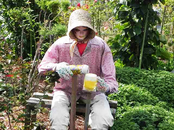 perierga.gr - Η εξελιγμένη μορφή των σκιάχτρων στα χωράφια!