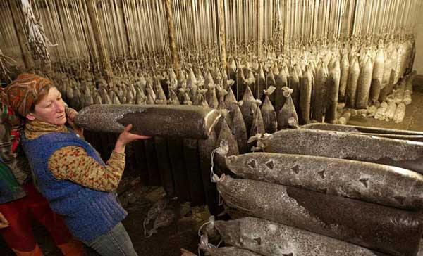 perierga.gr - Καλλιέργεια μανιταριών σε πρώην σοβιετική βάση πυραύλων!