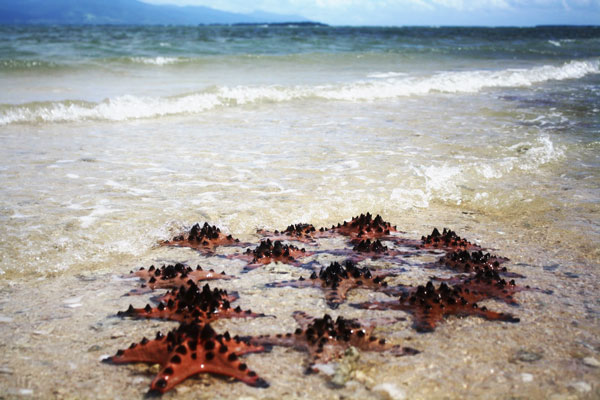 perierga.gr - To πιο εξωτικό νησί στον κόσμο από το "Condé Nast Traveler"