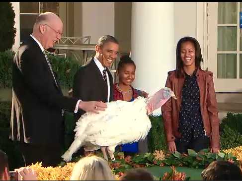 turkey-pardon