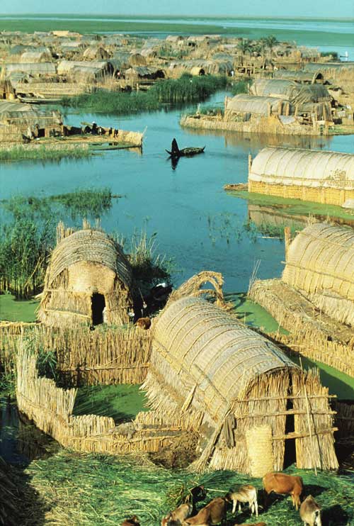 perierga.gr - Τα πλωτά σπίτια από καλάμι στο Ιράκ!