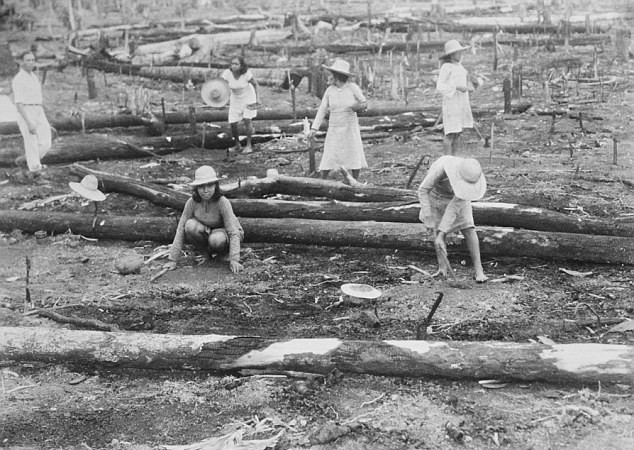 Fordlandia: Η πόλη-φάντασμα που είχε φτιάξει ο Χένρι Φορντ στην καρδιά του Αμαζονίου [εικόνες]