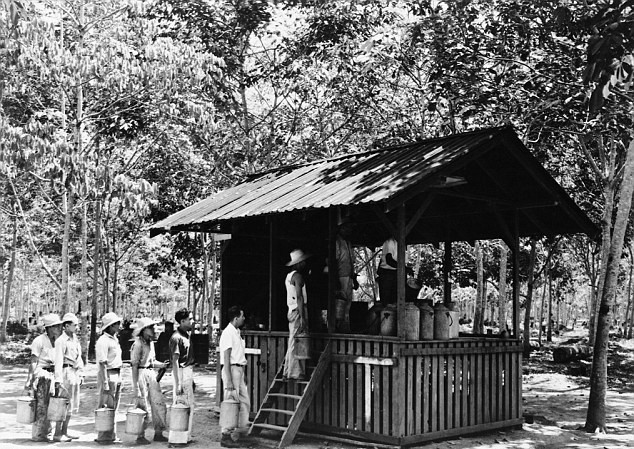 Fordlandia: Η πόλη-φάντασμα που είχε φτιάξει ο Χένρι Φορντ στην καρδιά του Αμαζονίου [εικόνες]