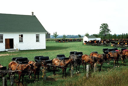 71c42349-9544-4606-b622-94e51c1a531f